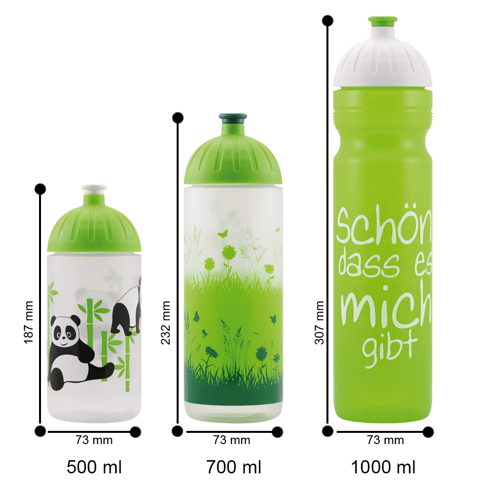 Nachhaltige Sport-Trinkflasche 1 L kaufen